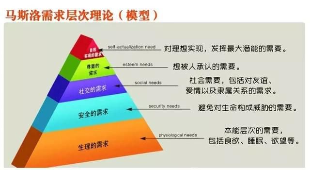 今晚新澳門生肖預測與黃金版數(shù)據(jù)分析的重要性研究，合理化決策評審_網(wǎng)紅版65.17.99