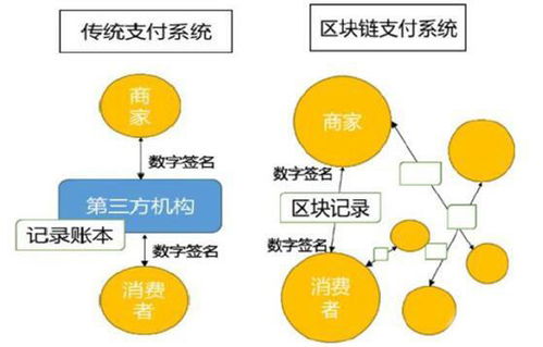 全年資料免費(fèi)大全下載與穩(wěn)定性策略解析，專業(yè)版探討，快速方案執(zhí)行指南_戰(zhàn)略版36.65.42