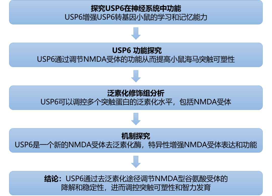 新澳精準資料免費八百圖庫與FT72安全解析策略解析，精細化解讀說明_奏版43.74.31