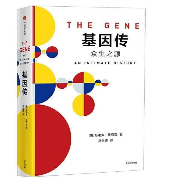 探索未來奧秘，解析新奧歷史開獎(jiǎng)記錄與實(shí)地?cái)?shù)據(jù)評估的啟示（附2K版詳細(xì)解析），實(shí)地驗(yàn)證分析策略_靜態(tài)版55.19.82