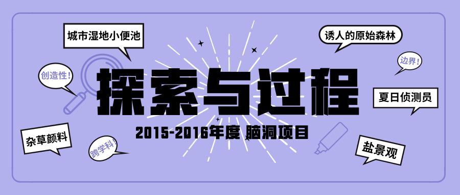 新澳2024管家婆資料二期與標準化實施程序分析，挑戰(zhàn)款的探索之旅，精細化執(zhí)行計劃_專屬版57.21.62