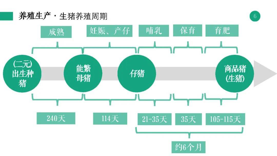 澳門資料小魚兒二站玄機(jī)免費(fèi)網(wǎng)站，探索與體驗(yàn)，預(yù)測說明解析_專屬款96.59.63