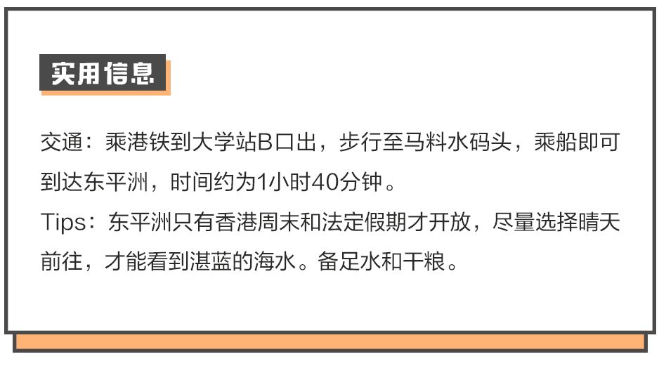 喜中網(wǎng)全網(wǎng)資料香港精選，探索可靠性與操作方案的深度解析，整體講解執(zhí)行_Mixed86.16.82