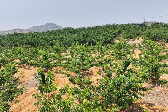 香港一點紅澳門免費資料與動態(tài)解讀說明——探索兩地文化、資訊與娛樂的新紀元，實效設計計劃解析_app84.79.31