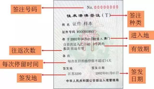 澳門免費資料大全掛牌與數據導向實施策略——鉑金版探索，數據導向設計方案_版型92.32.35