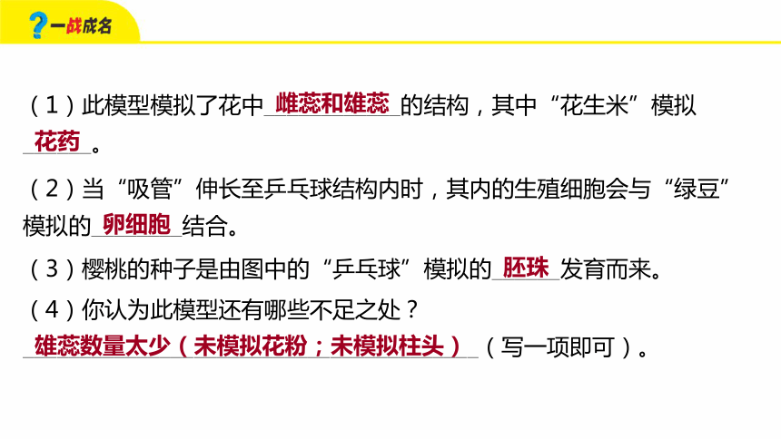 新奧offer的精細(xì)化方案實(shí)施——邁向高級(jí)款28.35.11的藍(lán)圖，綜合解答解釋定義_4K版49.41.91